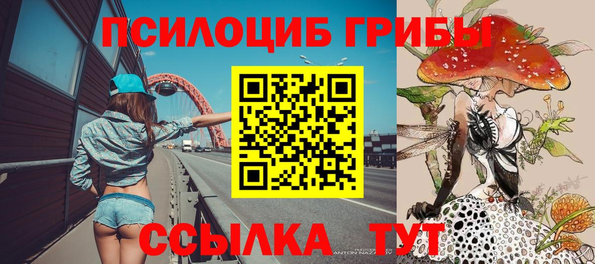 Псилоцибиновые грибы Psilocybine cubensis  Псилоцибиновые грибы GOLDEN TEACHER  купить наркотики сайты  Реутов  Вход с VPN 
